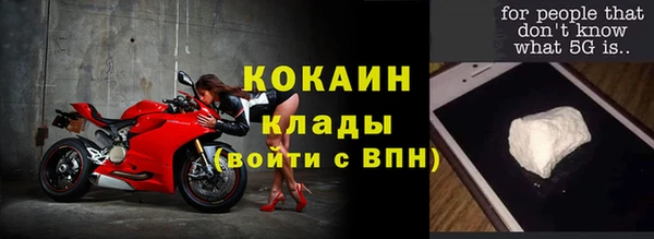 дурь Богданович