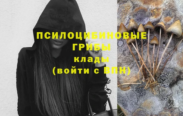 гашик Богородицк