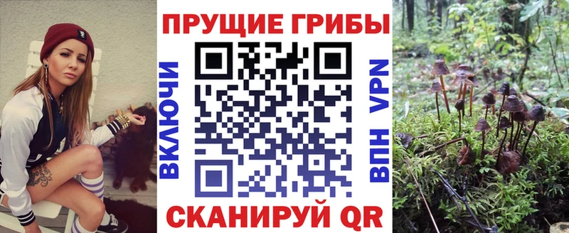 Псилоцибиновые грибы GOLDEN TEACHER Болхов